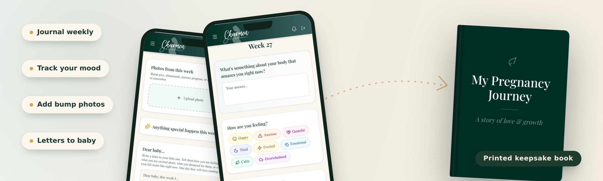 Digital Journal